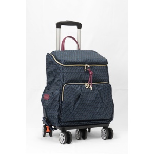 5029 キャリーケース